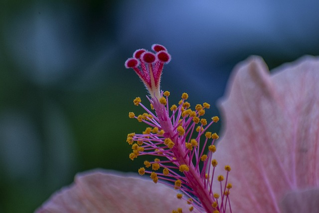 UK government Treasury building with spring flowers in foreground and clear sky
